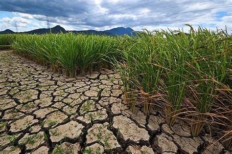 dry season philippines 2024|Climate Outlook 173rdCF 06262024 .